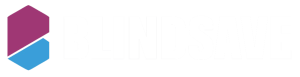Blindsave_Logo_valk